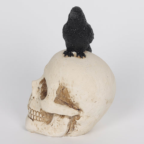 2.5*3.5*4.75''White Resin Skull W/Bird Décor