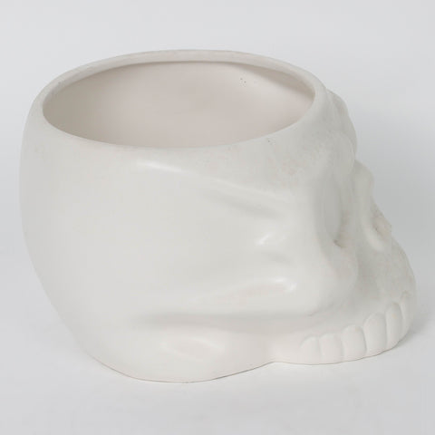 7.5*6.5*4.875'' White Resin Skull Décor