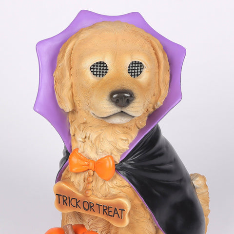 18.5’’H Halloween Resin Dog with Moving LED Eyes and light-up jack-o-lantern – Indoor Halloween Decoration
