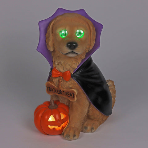 18.5’’H Halloween Resin Dog with Moving LED Eyes and light-up jack-o-lantern – Indoor Halloween Decoration