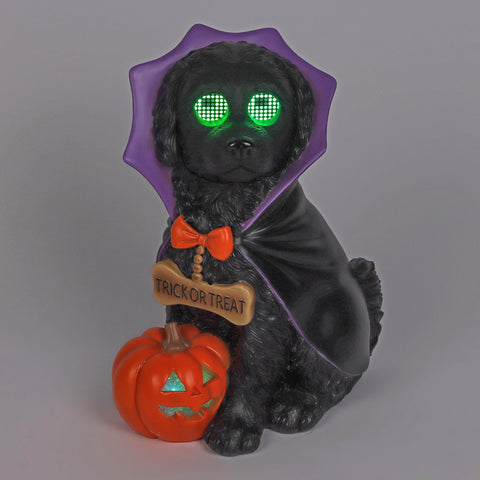 18.5’’H Halloween Resin Dog with Moving LED Eyes and light-up jack-o-lantern – Indoor Halloween Decoration