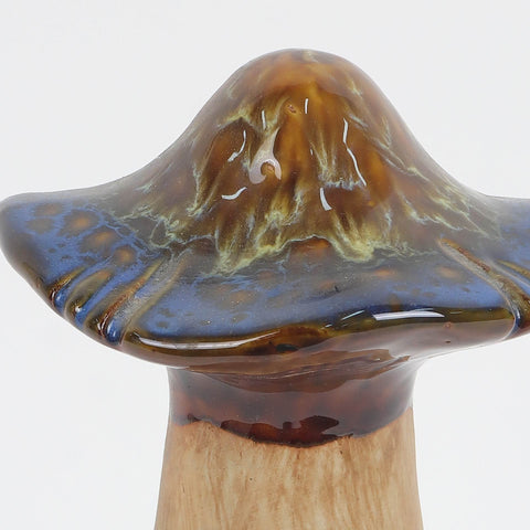 Ceramic Mushroom Decoration