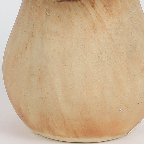 Ceramic Mushroom Decoration