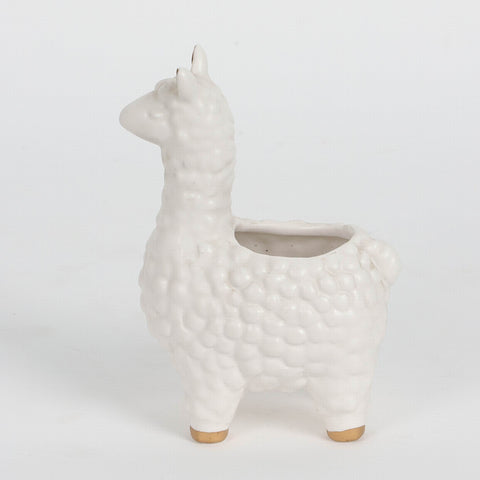 Ceramic Planter Decoration