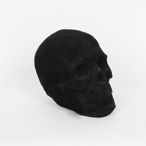 Halloweeen Skelton Head Décor