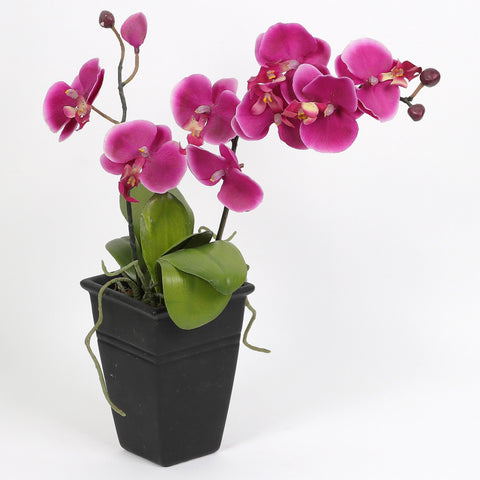 Nearly Natural Orchid Phalaenopsis Artificial Arrangement in Vase