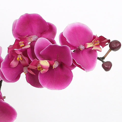 Nearly Natural Orchid Phalaenopsis Artificial Arrangement in Vase