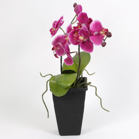 Nearly Natural Orchid Phalaenopsis Artificial Arrangement in Vase