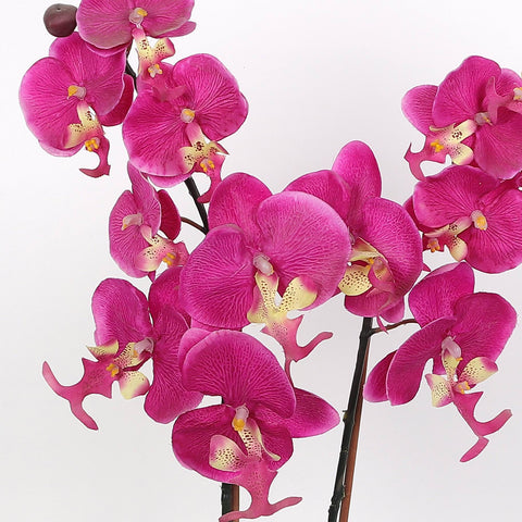 Nearly Natural Orchid Phalaenopsis Artificial Arrangement in Vase