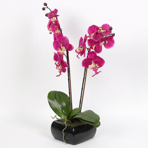 Nearly Natural Orchid Phalaenopsis Artificial Arrangement in Vase