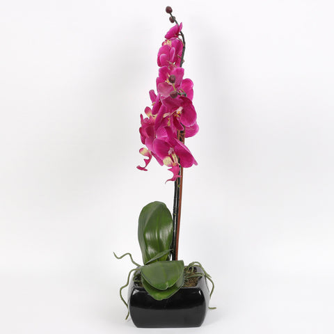 Nearly Natural Orchid Phalaenopsis Artificial Arrangement in Vase