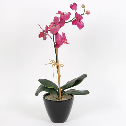 Nearly Natural Orchid Phalaenopsis Artificial Arrangement in Vase