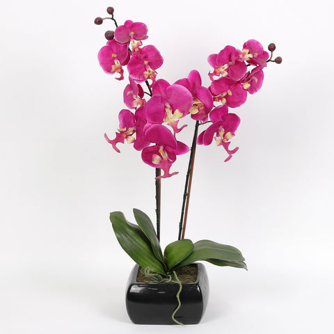 Nearly Natural Orchid Phalaenopsis Artificial Arrangement in Vase