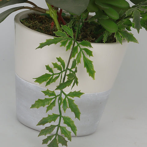 10''*8''*11.5'' Succulent Greenery Table Décor