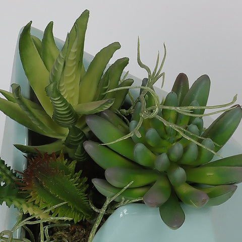 5''*5''*6.5'' Succulent Greenery Table Décor