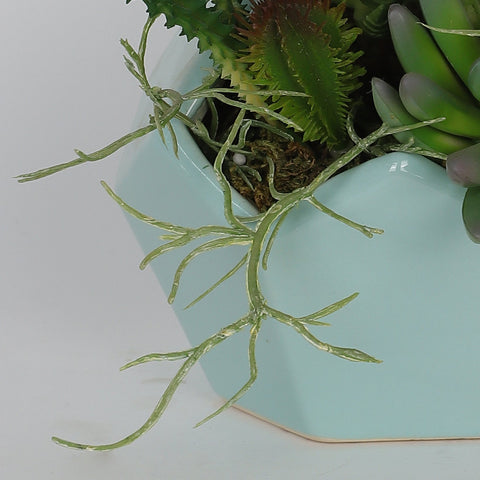 5''*5''*6.5'' Succulent Greenery Table Décor