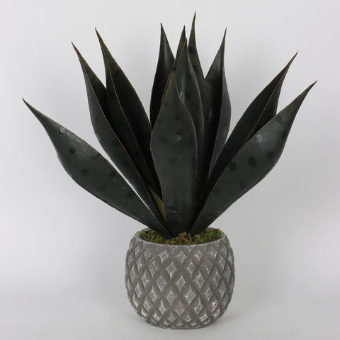 Faux Greenery Décor - Contemporary 6.5x6x11.25 Inches