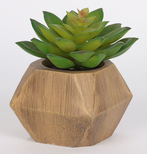 3.75*3.75*4.5''Greenery Succulent Arrangement Décor