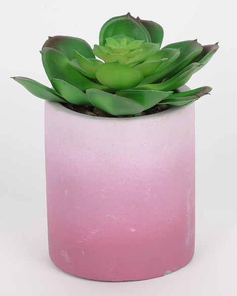 2.75*4.25''Greenery Succulent Arrangement Décor