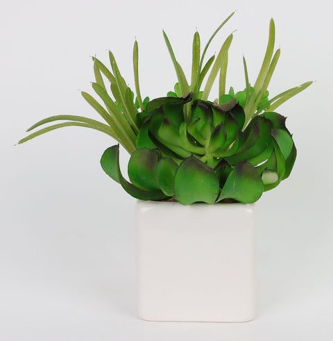 2.75*2.75*7''Greenery Succulent Arrangement Décor