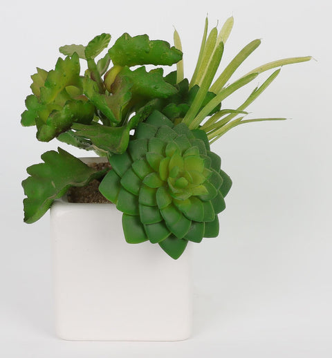 2.75*2.75*7''Greenery Succulent Arrangement Décor