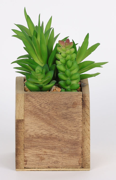 3*3*6''Greenery Succulent Arrangement Décor