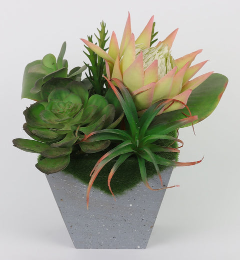 7*9''Greenery  Succulent Arrangement Décor