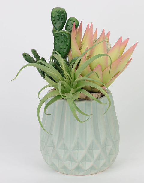 6*9''Greenery  Succulent Arrangement Décor