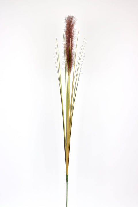39 Inch Natural Pampas Grass Stem