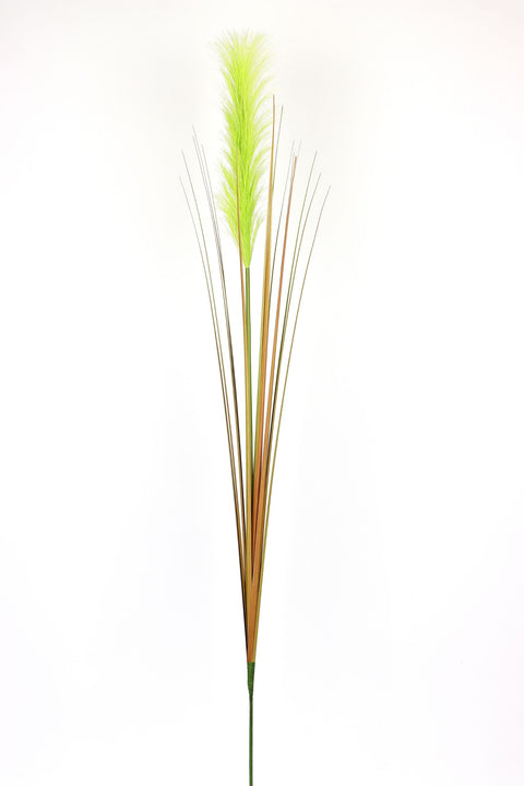 39 Inch Light Green Pampas Grass Stem