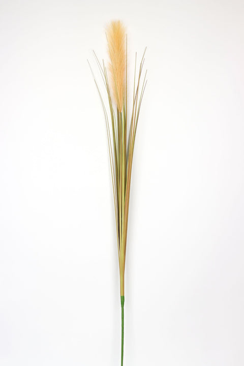 TIGE D'HERBE DE PAMPAS NEUTRE DE 60 POUCES