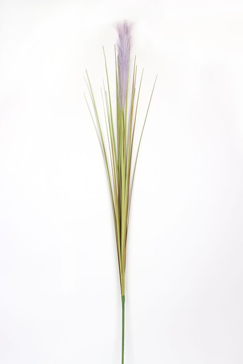 TIGE D'HERBE DE PAMPAS VIOLET 60 POUCES