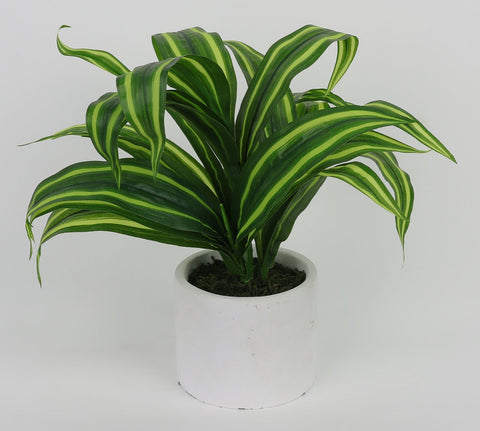 3.875*10''Greenery Arrangement Décor