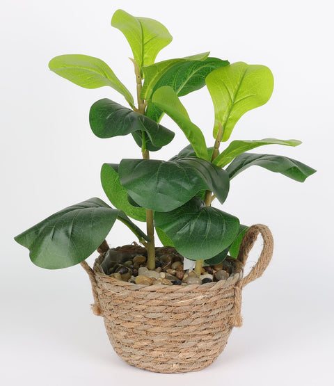 6.25*15''Greenery Leaves Arrangement Décor