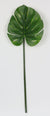 11.25*28 Inch Monstera Leaf Stem