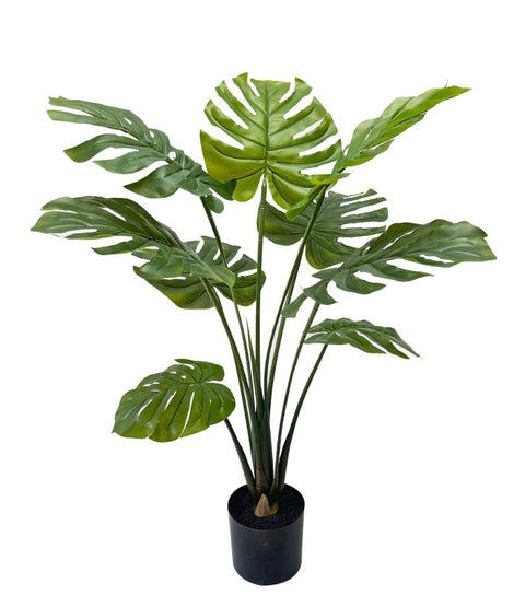 Monstera Plant in Black Pot: Enhance Your Space with this 35.5" Botanical Beauty