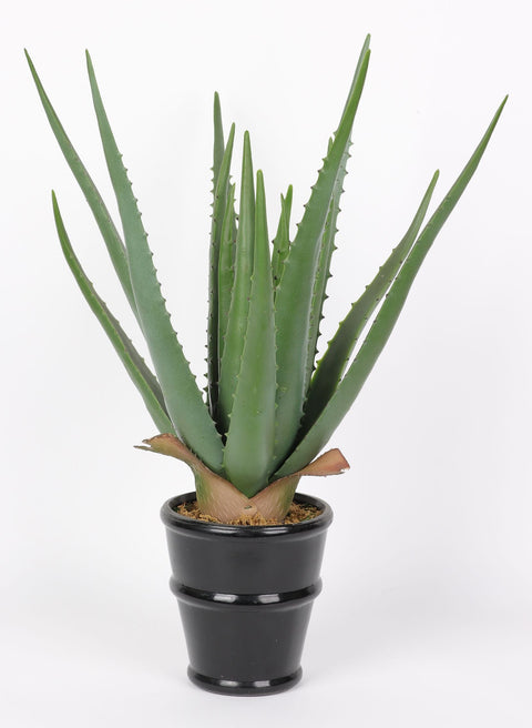 4.5 X 18''Greenery Aloe Arrangement Décor