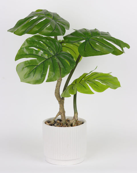 DÉCOR VERDURE 5.5 X 19''