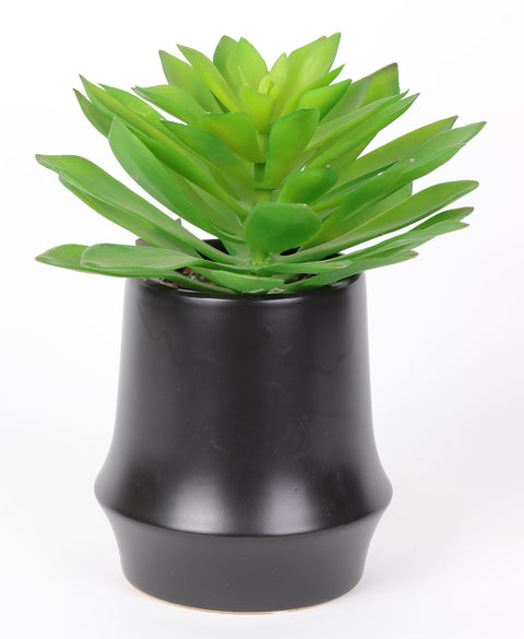 5.25 X 9''Greenery Succulent Arrangement Décor