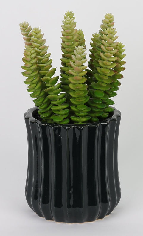 4.5 X 9.5''Greenery  Succulent Arrangement Décor