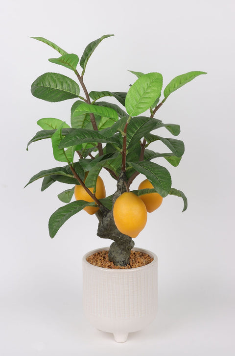 Vase avec décor de citronnier