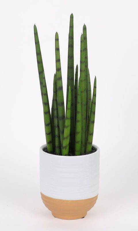 DÉCOR VERDURE 3.75 X 13''