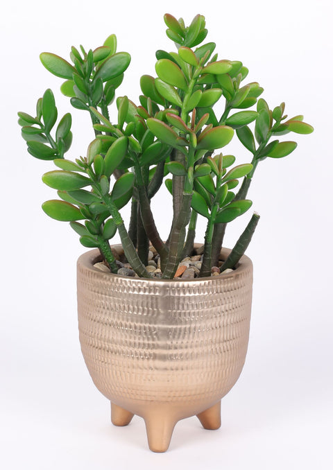 5.125 X 13''Greenery Succulent Arrangement Décor