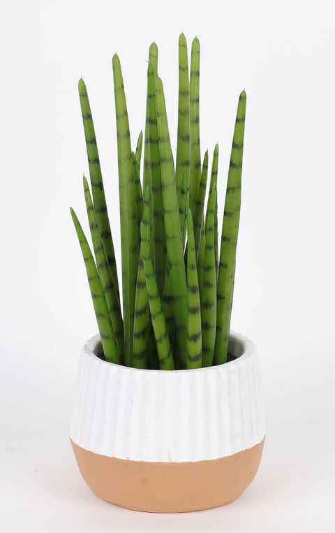 DÉCOR VERDURE 5.25 X 13''