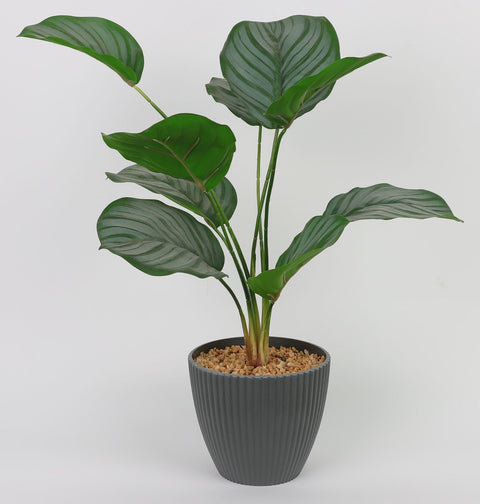 5.25 X 17''Greenery Leaves Arrangement Décor