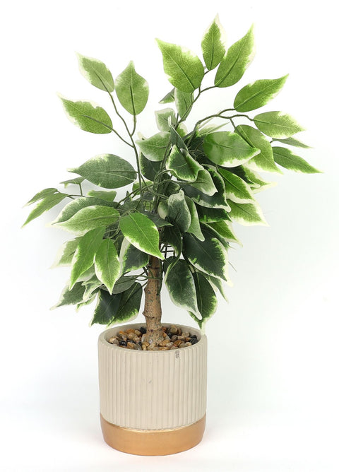 5.5 X 20'' Greenery Arrangement Décor