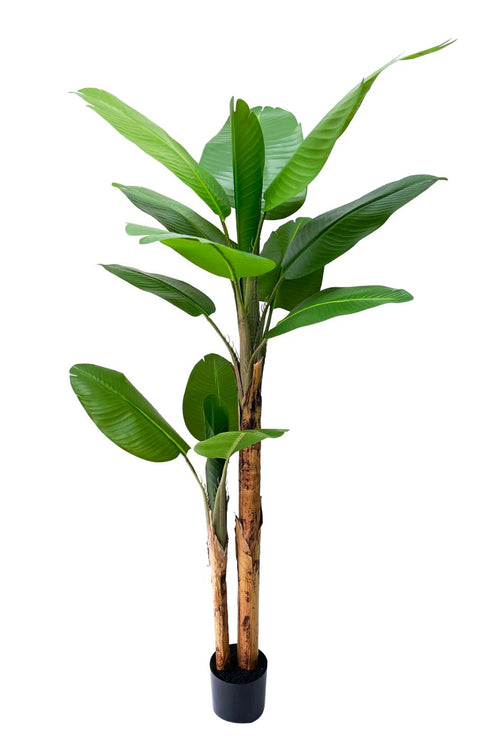 Faux Banana Plant with Black Pot: Lifelike 63" Tropical Plant for Indoor and Outdoor Decor