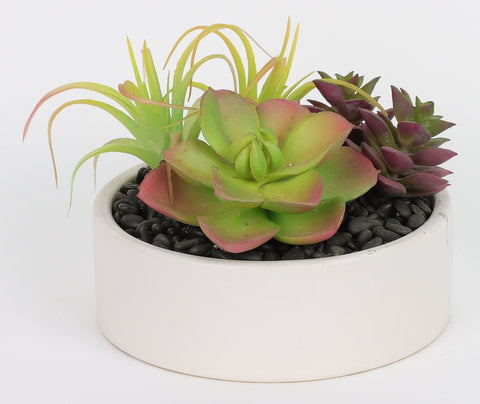 5.75*4.5''Greenery Succulent Arrangement Décor