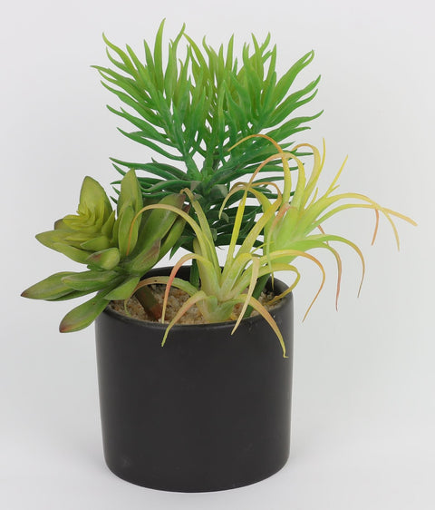 3.75*8.5''Greenery Succulent Arrangement Décor