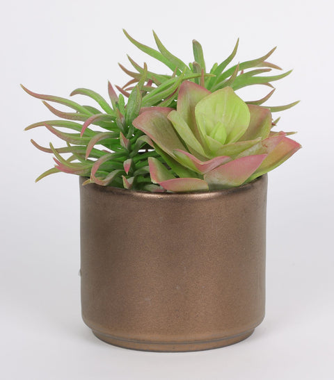5.75*6''Greenery Succulent Arrangement Décor